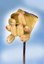 haselnuss_20413_128.jpg