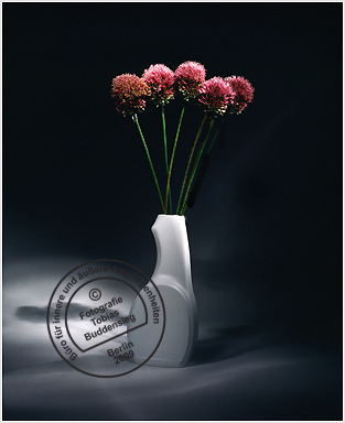Blumen 02 - Weie Flasche mit Zwiebelblten