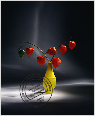 Blumen 03 - Zitronenflasche mit Lampionblumen