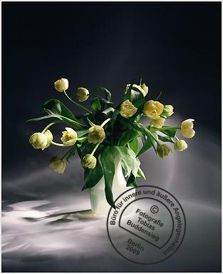 Blumen 06 - Weie Flasche mit Strau gelber Tulpen