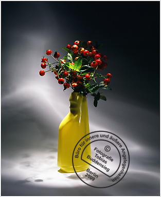 Blumen 08 - Gelbe Flasche mit Hagebutten