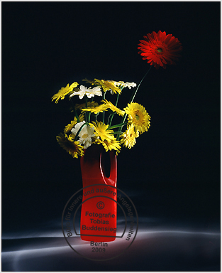 Blumen 12 - Rote Flasche mit gelben und weien Gerberas