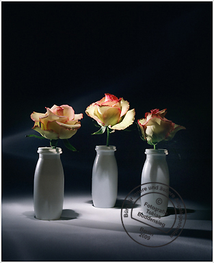 Blumen 16 - Drei Danonebecher mit weien Rosen