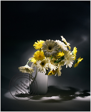 Blumen 21 - Weie Flasche mit weien und gelben Gerberas