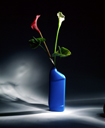 blumen02.jpg