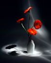 blumen09.jpg