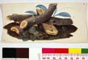 naumann_2769.jpg naumann_2769.jpg