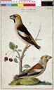 naumann_3386.jpg naumann_3386.jpg