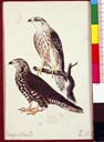naumann_3470.jpg naumann_3470.jpg