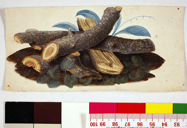 naumann_2769.jpg