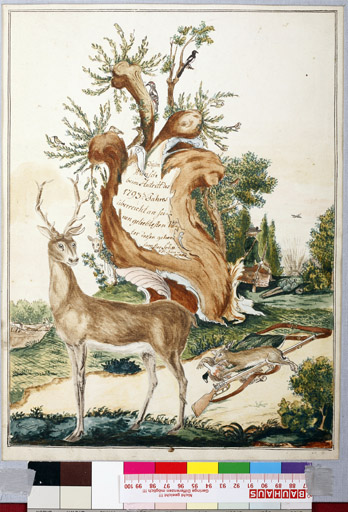 naumann_3349.jpg