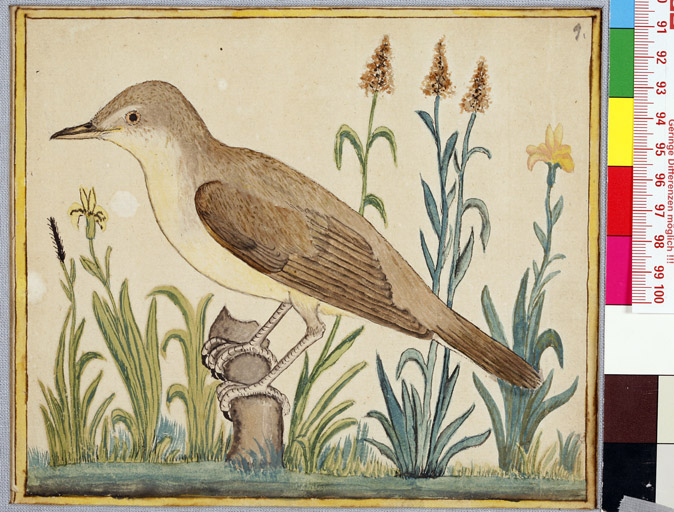 naumann_3360.jpg