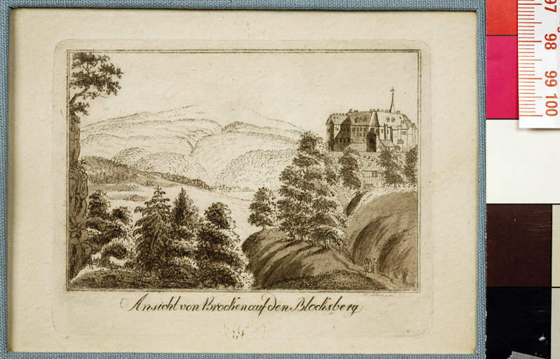 naumann_3376.jpg