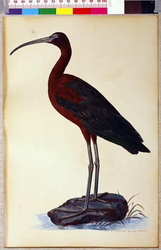 naumann_3427.jpg