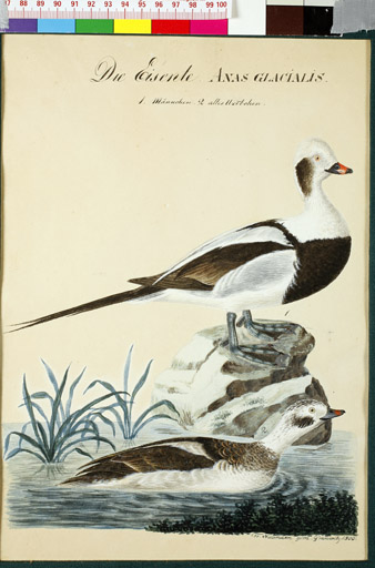 naumann_3443.jpg