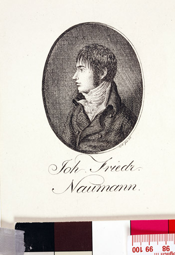 naumann_3561.jpg