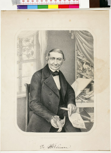 naumann_3567.jpg