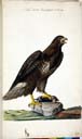 naumann_007_2821.jpg
